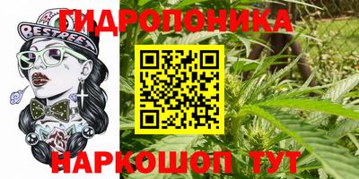 прущие крисы Гусиноозёрск